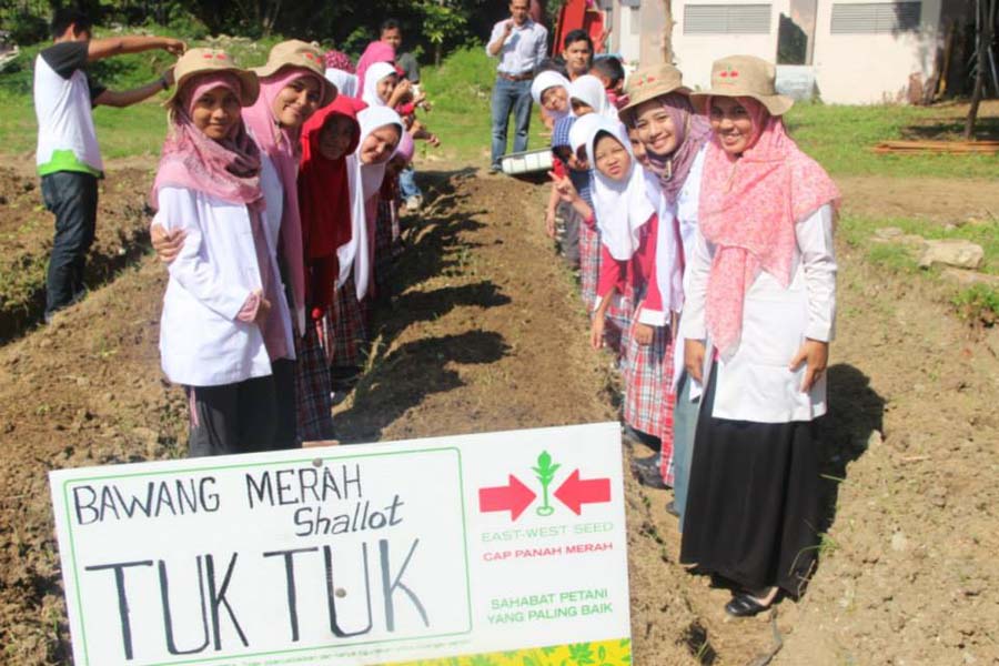 Aktivitas Aceh Berkebun yang melibatkan siswa Fatih Bilingual School @Facebook/Aceh Berkebun